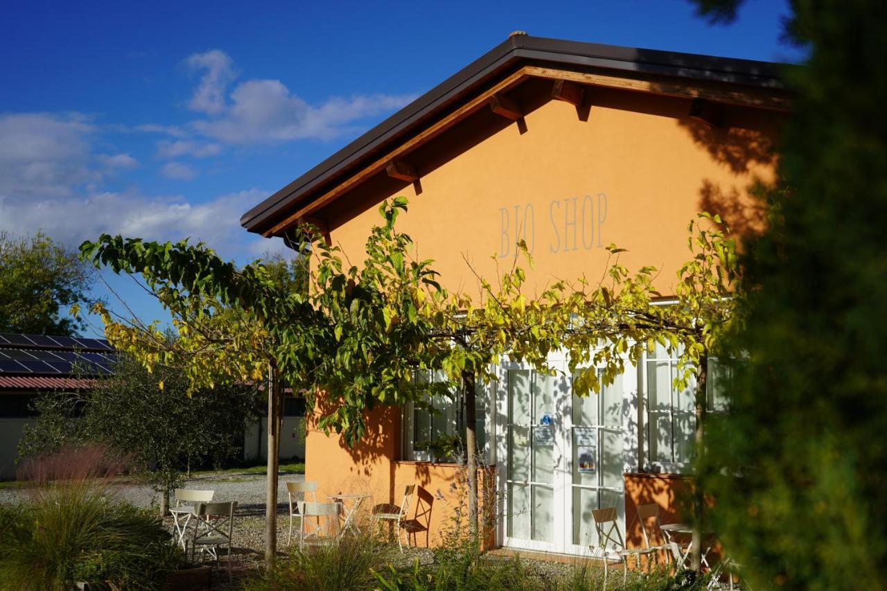 Bioagriturismo Il Cerreto Pomarance Eksteriør bilde